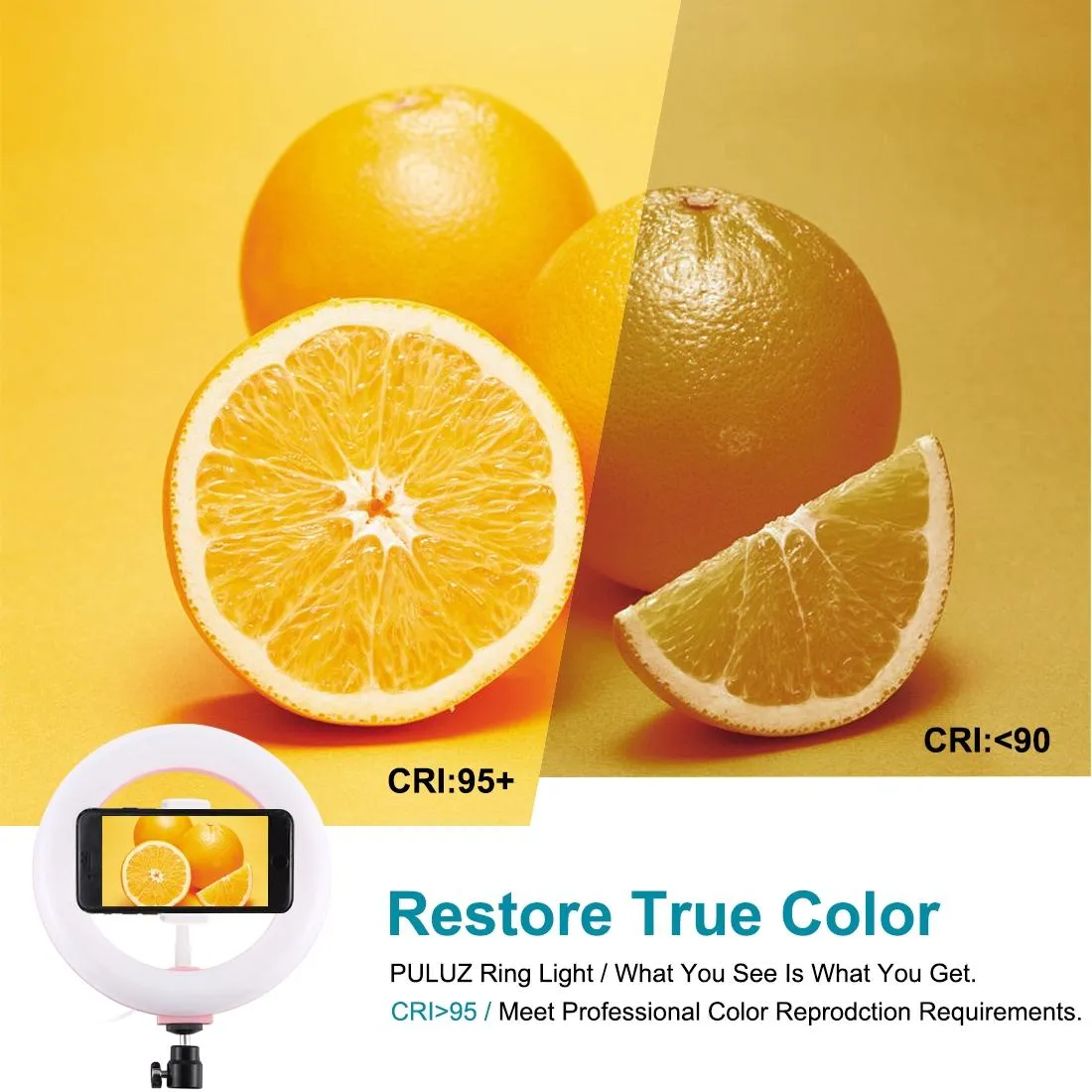20cm USB Dual Colour LED Ring Light with Phone Clamp | Black
