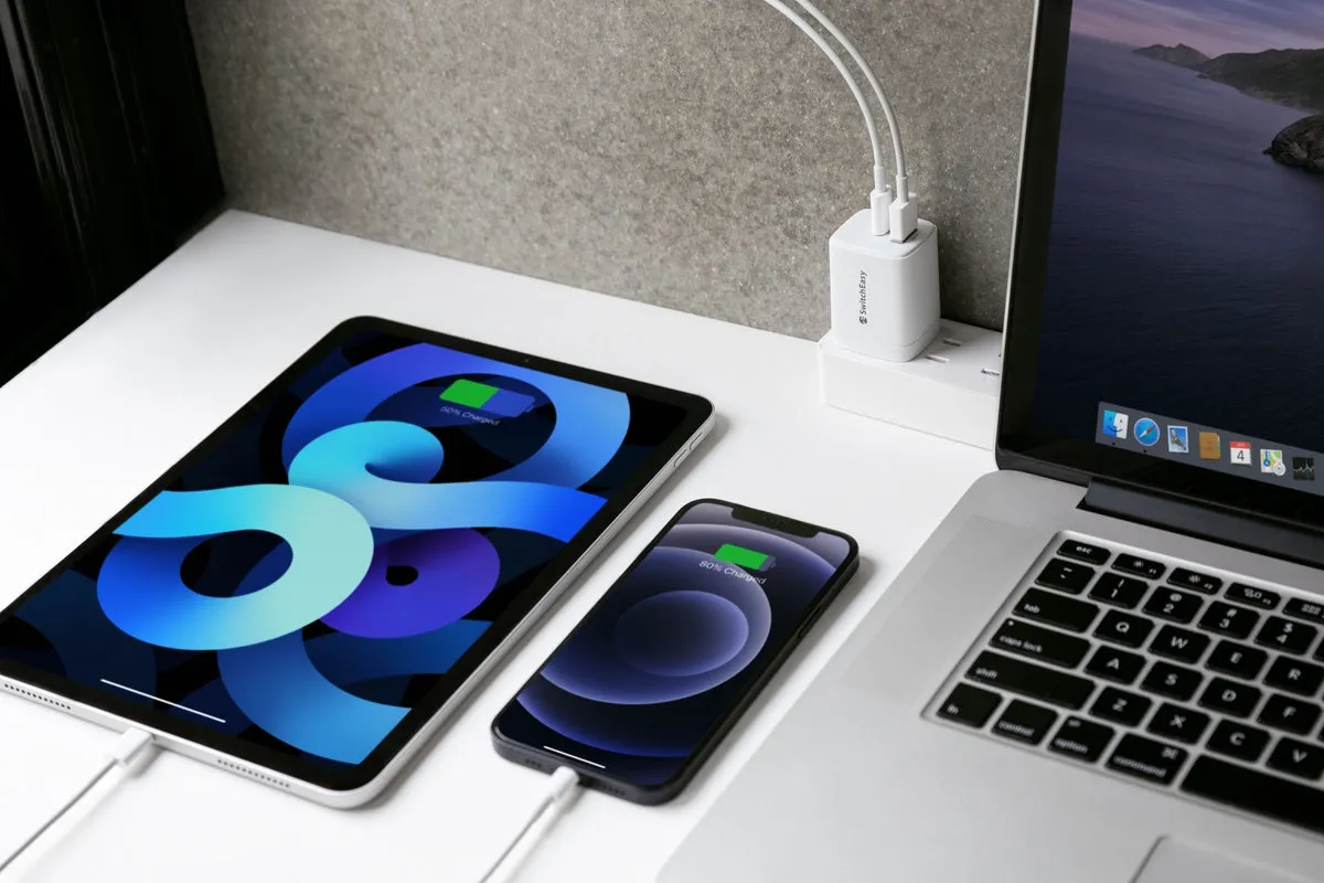 SwitchEasy PowerBuddy 20W Wall Charger